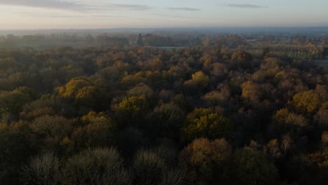 Otoño-Invierno-árboles-Bosque-Bosque-Warwickshire-Reino-Unido-Antena-Paisaje-Campo