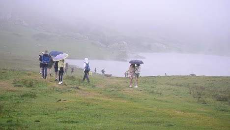 Lagos-De-Covadonga,-29-De-Agosto-De-2022,-España:-Senderismo-En-Lagos-De-Covadonga-O-Lagos-De-Covadonga,-Rodeado-De-Montañas,-Lagos-Y-Vacas,-En-España