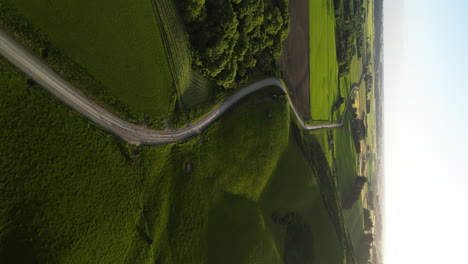 Vertical-aerial-shot-of-a-narrow-road-between-green-fields-of-rural-landscape-at-sunset