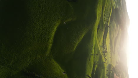 Atemberaubende-Sanfte-Hügel-Des-Dunsdale-gebiets,-Südinsel,-Neuseeland,-Vertikale-Luftaufnahme