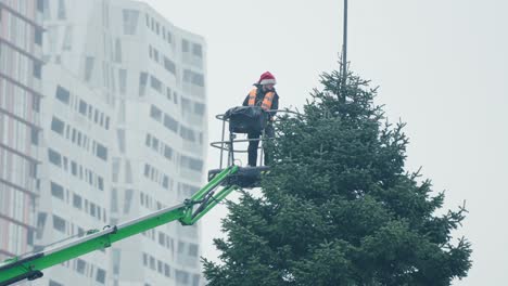Hand-held-shot-of-a-tree-surgeon-being-raised-to-shape-the-Christmas-tree-in-Rotterdam