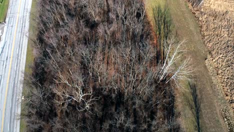 Aerial-flying-over-leafless-thicket-near-to-highway