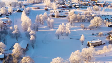 Aerial-view-flying-above-fairy-tale-snow-white-covered-trees-on-rural-German-farming-landscape