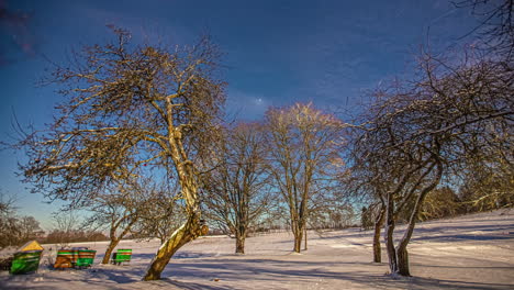 Zeitrafferaufnahme-Des-Aufgehenden-Mondes-Am-Himmel-Mit-Sternen-Während-Auf-Einem-Schneebedeckten-Feld-Mit-Blattlosen-Bäumen-Im-Winter