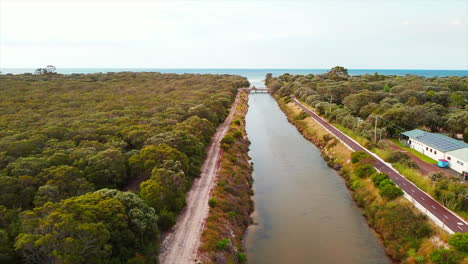 Amazing-drone-view-of-wetland-forest-and-river-flowing-towards-estuary