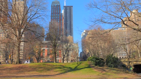 Bald-Trees-At-The-Urban-Central-Park-In-Manhattan,-New-York-During-Sunny-Day-Of-Winter