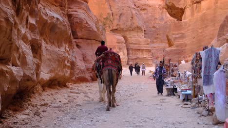 Camels-walking-through-a-high-walled-red-sandstone-canyon-lined-with-souvenir-market-stalls-in-city-of-Petra,-Jordan,-Middle-East