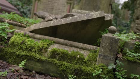 Broken-gravestone-opened,-covered-in-moss-in-a-forest-graveyard-on-a-cloudy-day