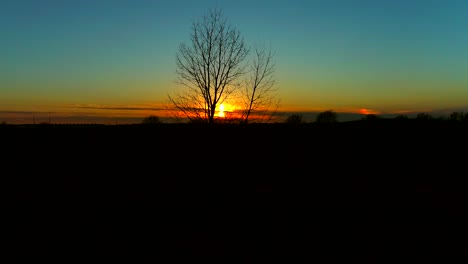 Leafless-tree-silhouette-against-cinematic-sunset.-Aerial-rising