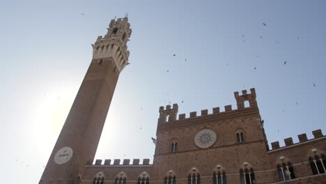 Glockenturm-Und-Rathaus-Von-Siena,-Piazza-Del-Campo-An-Einem-Sonnigen-Sommermorgen,-Zeitlupe