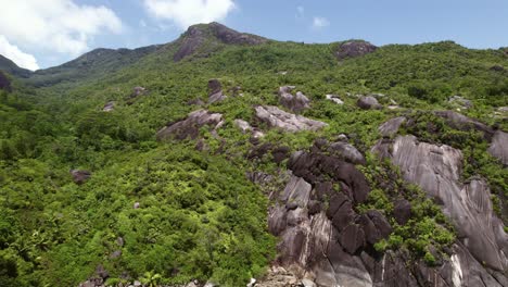 Mahe-seychelles-Drone-shot-inside-the-national-park,-epic-view-from-above