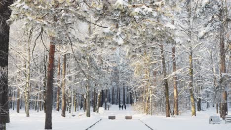 Paisaje-Nevado-De-Invierno-En-El-Parque-Letón-Mezaparks,-Riga,-Estático