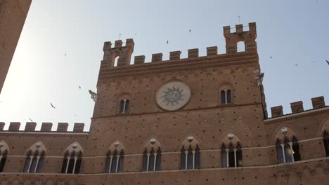 Siena-Rathaus-Palazzo-Publico-Morgens-Nahaufnahme-Vögel,-Die-In-Slowmotion-Herumfliegen