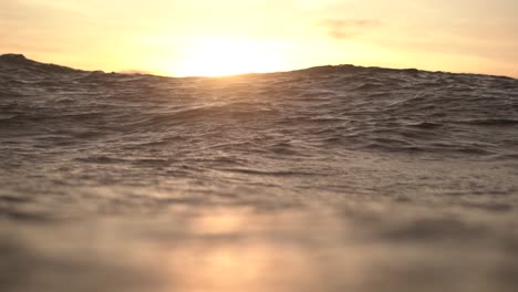 Sunset-Sunbeam-picking-through-wave-forming-in-the-Ocean,-Waterline-shot,-Slow-motion