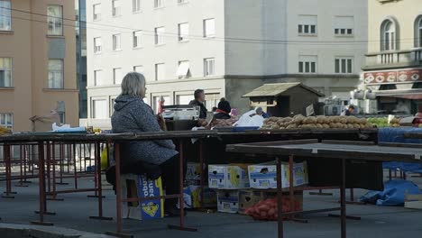 Vendedora-De-Agricultores-Croatas-Esperando-Que-Los-Clientes-Pasen-Por-Su-Puesto-En-El-Mercado-Dolac-En-Zagreb,-Croacia