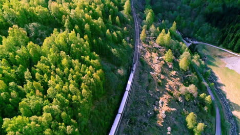 Aerial-top-down-shot-of-train-driving-on-rural-rail-near-forest-during-sunny-day