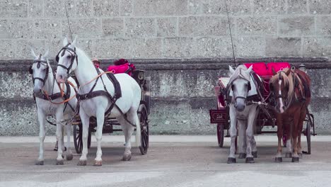 Dos-Carruajes-Tirados-Por-Caballos-Alineados-En-La-Plaza-Residenzplatz