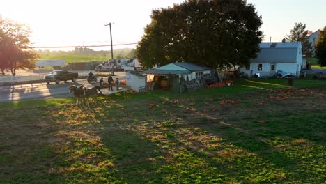 Puesto-De-Productos-Amish-Y-Campo-De-Calabazas