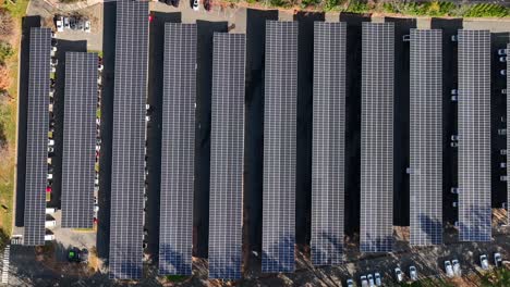 Top-down-of-solar-panel-array-field