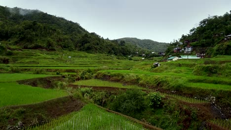 Große-Fläche-Von-Reisfeldern-In-Den-Philippinischen-Hügeln