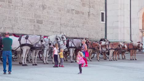 Horse-drawn-carriages-lined-up-on-Residenzplatz-Square-waiting-for-customers