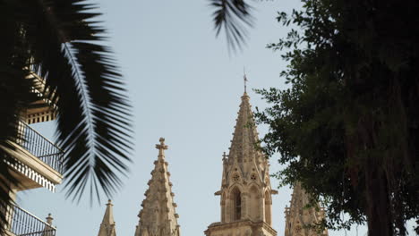 Tilting-Up-Catedral-basílica-De-Santa-María-De-Mallorca-On-A-Sunny-Day