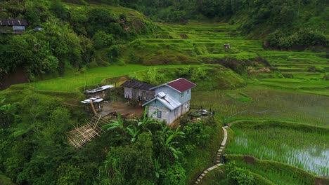 Rotating-drone-around-a-rice-paddy-farm-house-in-the-Phillipine-hillside