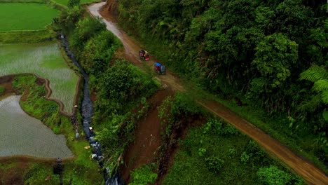 Zwei-Tuk-Tuks-Fahren-Auf-Einer-Unbefestigten-Straße-Im-Phillipinischen-Wald-Neben-Einem-Fluss-Und-Reisfeldern