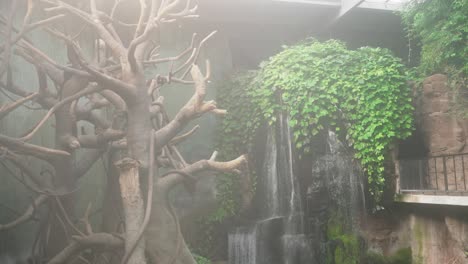 indoor-artificial-waterfall-at-Omaha's-Henry-Doorly-Zoo-with-an-ahmospheric-fog,-dry-and-green-trees