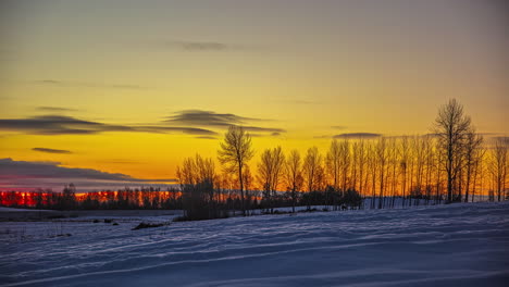 Stunning-time-lapse-shot-of-a-the-low-winter-sun-rising-with-a-glorious-red-color-on-a-snowy-field-with-trees