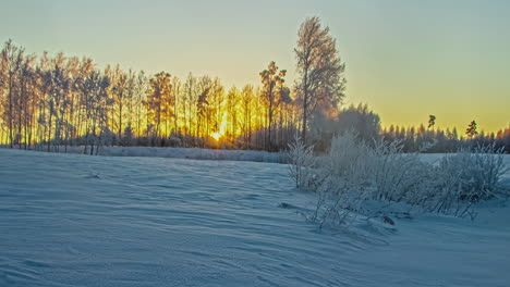 Stunning-time-lapse-of-the-low-winter-sun-setting-behind-the-trees-of-a-winder-landscape