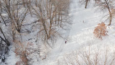 Aerial-long-shot-of-a-person-exercising-alone-on-snow-covered-forest-path-during-winter