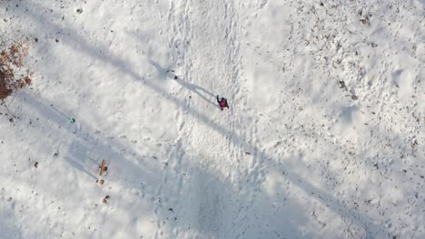 Aerial-top-down,-woman-strolling-on-snowy-winter-forest-path
