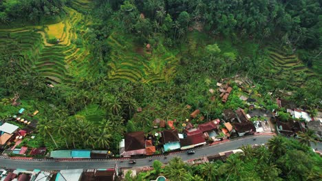 Tegalalang-Rice-Terrace-Drone-Pan-with-Village-in-view,-Ubud,-Bali