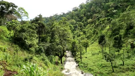 Tiro-Inclinado-Hacia-Abajo-De-Un-Arroyo-Que-Fluye-Entre-La-Selva-Tropical-En-Tanzania,-áfrica
