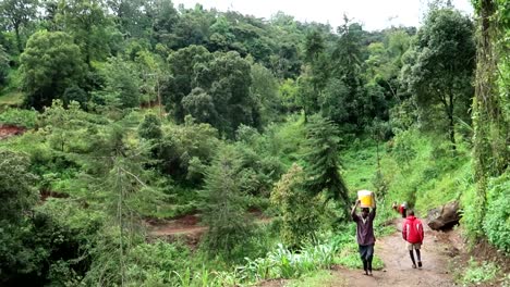 African-local-people-carrying-buckets-on-the-head-working-in-coffee-plantation-rural-environment