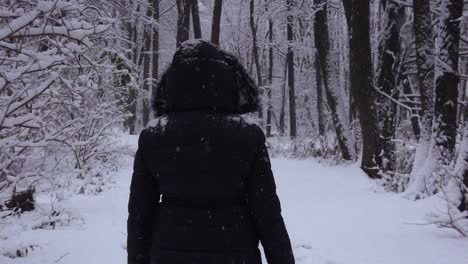 Warm-dressed-female-walking-through-snowy-woodland-forest,-Niebieskie,-Poland,-rear-view