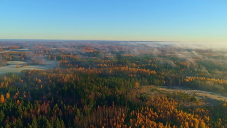 Aerial-flyover-colorful-trees-in-forest-during-cloudy-and-frozen-day-in-autumn-at-sunset