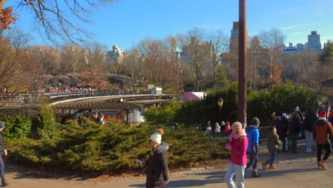 Gente-En-La-Zona-De-La-Pista-De-Hielo-Del-Parque-Central-Durante-La-Temporada-De-Invierno-En-La-Ciudad-De-Nueva-York,-Estados-Unidos