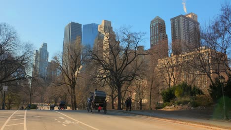 Pferdekutsche-Auf-Der-Straße-Im-Central-Park-An-Sonnigen-Tagen-In-New-York-City,-Vereinigte-Staaten