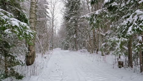 Winterwunderland-In-Einem-Tanzwald-Mit-Einer-Straße-In-Der-Mitte-Und-Flauschigen-Schneeflocken,-Die-Fallen