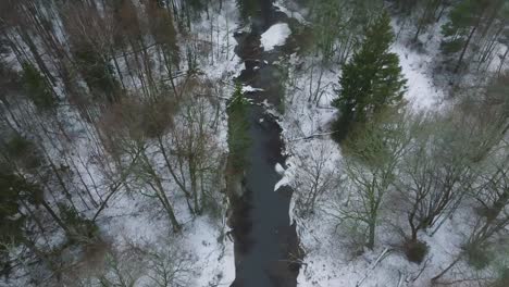 Aerial-establishing-view-of-Nordic-woodland-forest-covered-with-light-snow-and-a-dark-river-,-overcast-winter-day,-low-clouds,-relaxing-view,-birdseye-drone-shot-moving-forward