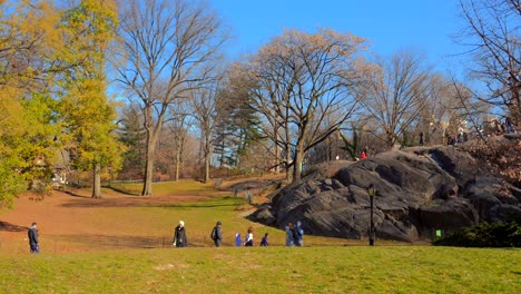 Gente-Disfrutando-Del-Invierno-Al-Aire-Libre,-Paseando-Por-Central-Park-En-La-Ciudad-De-Nueva-York,-Estados-Unidos