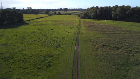 Long-field-path-horse-paddock