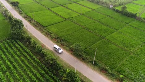 Aerial-video-drone-shot,-following-a-white-car-driving-by-near-paddy-fields