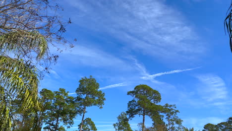 Vibrant-blue-sky-with-jet-trail-and-clouds-while-looking-from-ground-over-trees