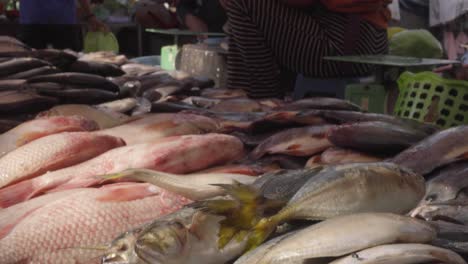 Wet-market