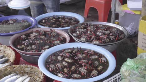 Wet-market