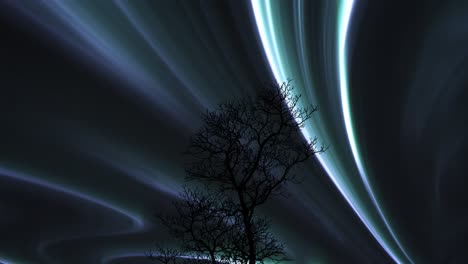 Aurora-Borealis,-Die-über-Silhouettiertem-Bloßem-Baum-Glüht
