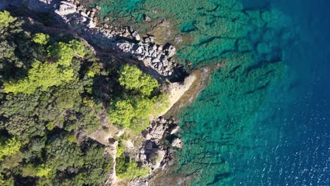 Top-Down-Aerial-View,-Crystal-Clear-Sea-Water,-Rocks-and-Coastal-Forest-on-Sunny-Summer-Day